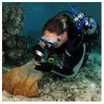 https://coralmates.criobe.pf/wp-content/uploads/2020/02/Hendrikje_Squares-150x150.jpg