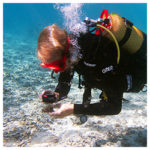 https://coralmates.criobe.pf/wp-content/uploads/2021/04/April_2021_Photo1_square-150x150.jpg