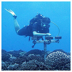 https://coralmates.criobe.pf/wp-content/uploads/2022/03/February2022_Photo2square-250x250.jpg